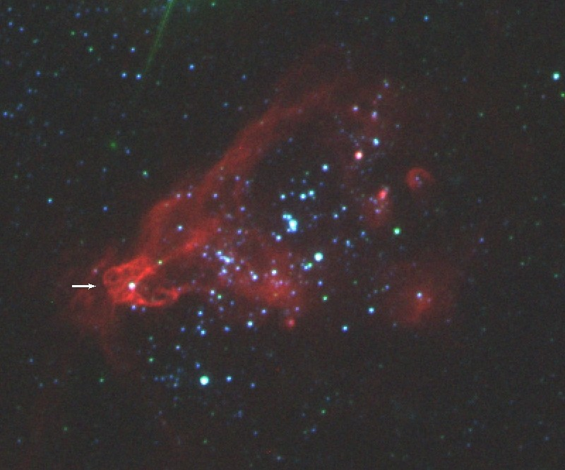 Multi-color optical image around the ULX "X-1"