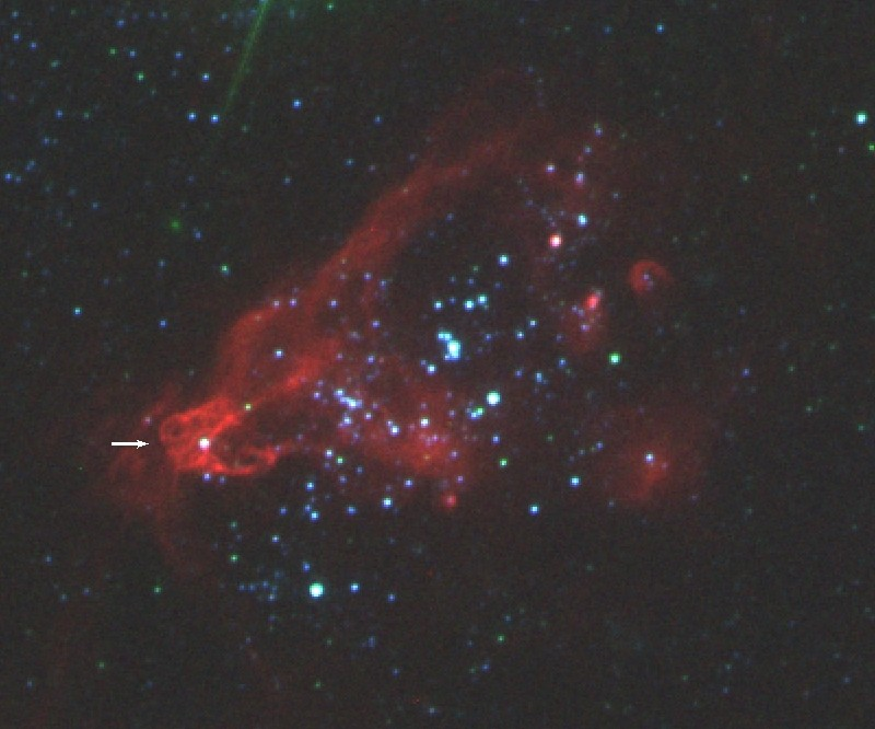 Multi-color optical image around the ULX "X-1" 